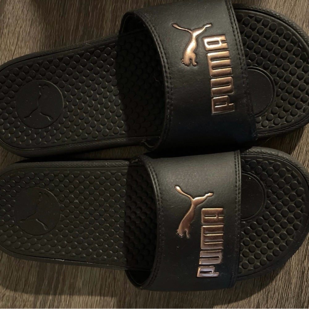 Puma slides